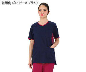 �j�����p�E���ْ̍f�V���[�Y�@�X�N���u�@�l�C�r�[×�v�����@SS �@4562213076860