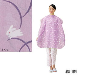 HpGv HO|ij1011 HPApi@4521573004456