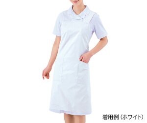 �G�v���� �i�j�����p�^�|�P�b�g���y�������t���j �z���C�g�^L�@75-511�@4560315453527