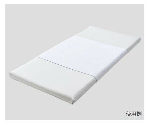 ϔMϋv\tg^IhV[ciƖpj1600×900mm@pEpC@PS1690P