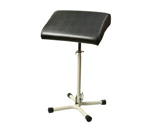 gCłӂ΂NZ@IG|Z01@4993202205006