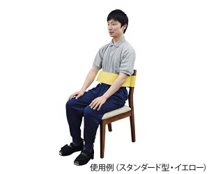 ߗ gX|[gxg@X^_[h^@L@CG[@4521573013250