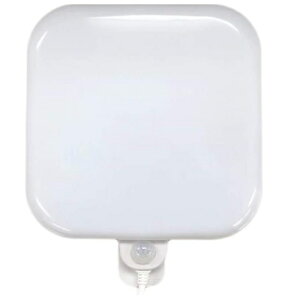 [xbNX REVEX p^LEDZT[Cg JxsJ XNGA SLK900 lZT[ŃECX΍ɂI