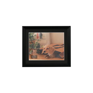 iJoV  ʐ^z tHgt[ Zc F-SP-108-D ubN