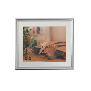 iJoV  ʐ^z tHgt[ lc F-SP-111-SV Vo[