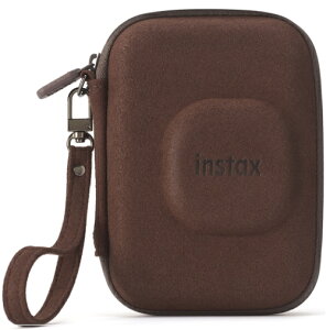 xmtB vCCpJP[XuY@INS MINI LIPLAY C CASE B