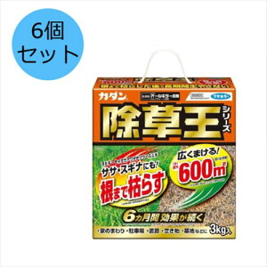 y6Zbgzt}L[() J_ I[L[ 3kg  G ԏ H 󂫒n n