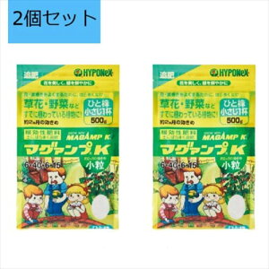 y2ZbgznC|lbNXWp }O@vK  500g MAGAMP K  엿   