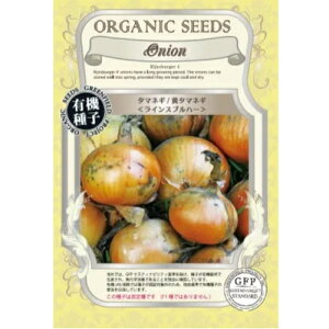 y|XgցzO[tB[hvWFNg@^}lM/^}lM CXun[ yL@qEŒz @؁@H