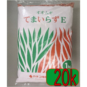 JlRc Δ IIM Ă܂炸E 20kg