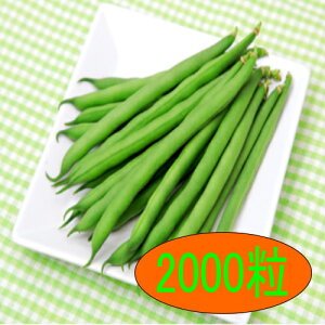 y׎oׁzJlRc@`[[@2000