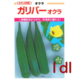 【入荷次第出荷】カネコ種苗 ガリバー オクラ 1dl