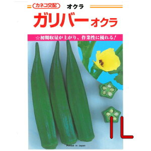 y׎oׁzJlRc@Ko[@IN@1L