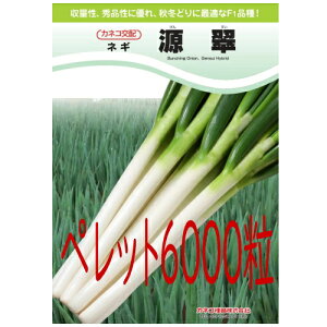 y׎oׁzJlRc@K@ybg2L6000