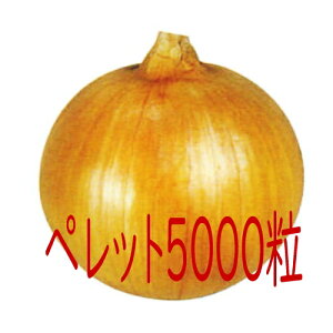 y׎oׁzJlRc@џ{@ʔK@ybg2L5000