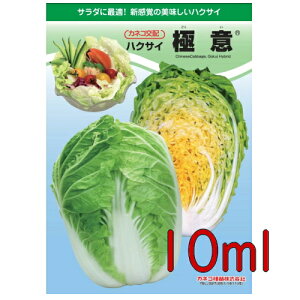 �y���׎���o�ׁz�J�l�R��c�@�ɈӁ@���؁@10ml