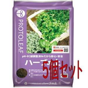 vg[t@n[u̓y@5L@5Zbg