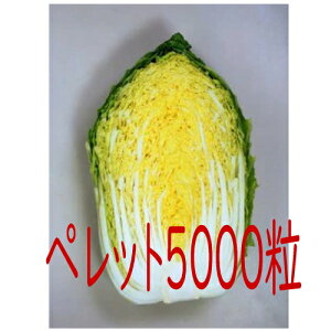 y׎oׁzJlRc@]65@؁@ybg5000