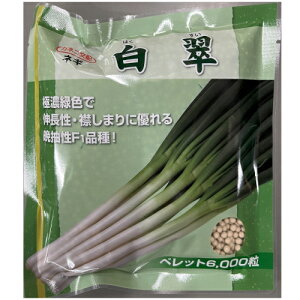 y׎oׁzJlRc@@K@ybg 6000