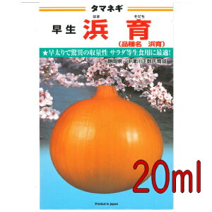 �y���׎���o�ׁz�J�l�R��c�@�l��@�ʔK�@20ml