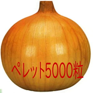 y׎oׁzJlRc@_̕@ʔK@ybg5000