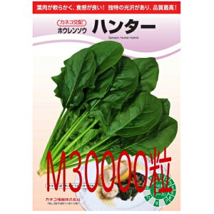 �y���׎���o�ׁz�J�l�R��c�@�n���^�[�@�@�@���@�v���C�~���O�@�iM�j30000��