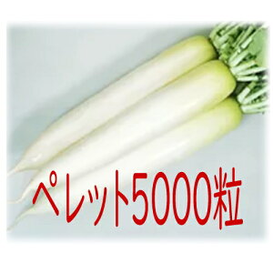 y׎oׁzJlRc@tl@卪@ybg5000