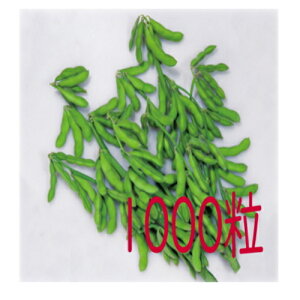 �y���׎���o�ׁz�J�l�R��c�@������܁@�}���@1000��