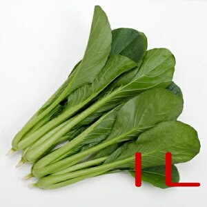 y׎oׁzJlRc@KMiN|006j@؁@1L