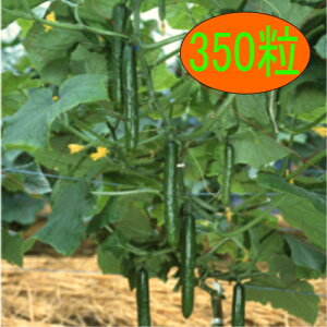 y׎oׁzJlRc@قJP@350