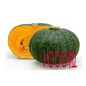 �y���׎���o�ׁz�J�l�R��c�@�ق�ق�@��Z�@1000��