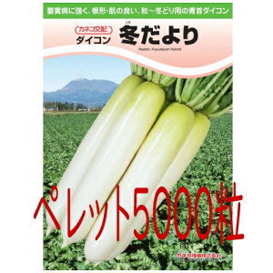 y׎oׁzJlRc@~卪@ybg5000