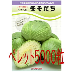 【入荷次第出荷】カネコ種苗 冬そだち キャベツ ペレット5000粒