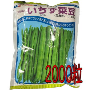 y׎oׁzJlRc@邠CQ @2000