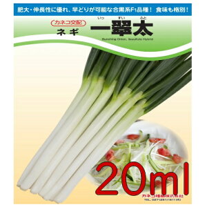 y׎oׁzJlRc@ꐉ@K@20ml