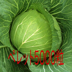 y׎oׁzJlRc@@Lxc@ybg5000