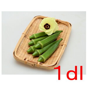 【入荷次第出荷】カネコ種苗 ジョニー オクラ 1dl