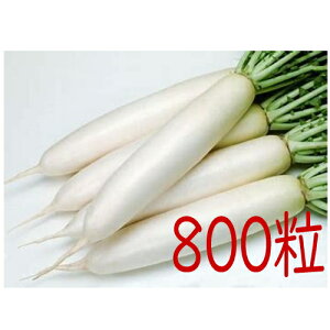 y׎oׁzJlRc@~@卪@800