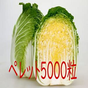 y׎oׁzJlRc@ƂԂ@؁@ybg5000