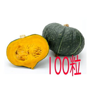 �y���׎���o�ׁz�J�l�R��c�@��d�I��Z�@100��