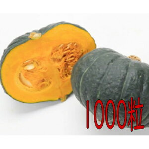 y׎oׁzJlRc@イEXZ@1000