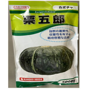 y׎oׁzJlRc@IܘY@Z@500