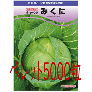 y׎oׁzJlRc@݂Ɂ@Lxc@ybg5000