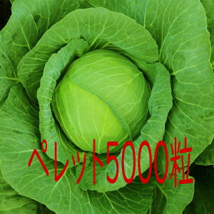 y׎oׁzJlRc@݂˂ӂ@Lxc@ybg5000