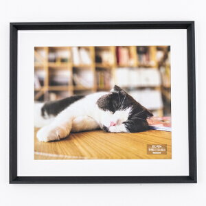 iJoV@ؐʐ^z /lc /ubN@F-SW-122-D