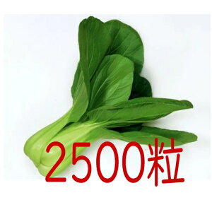 y׎oׁzJlRc@ČO`QTC@ybg5000