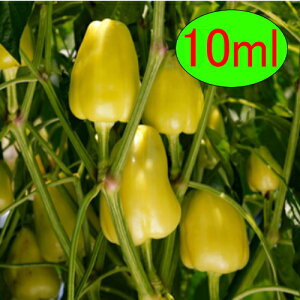 y׎oׁzJlRc@lj[N[@10ml