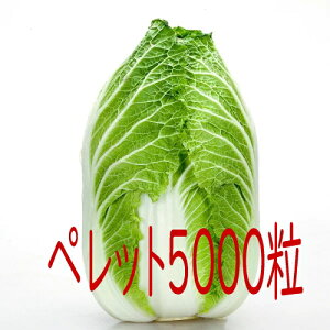 y׎oׁzJlRc@ނ@؁@ybg5000