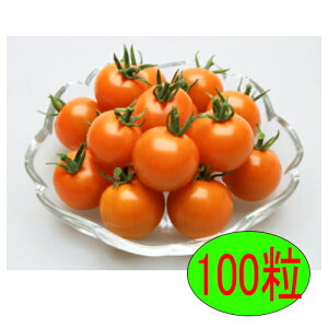 �y���׎���o�ׁz�J�l�R��c�@�I�����W�p���`�F�@100��