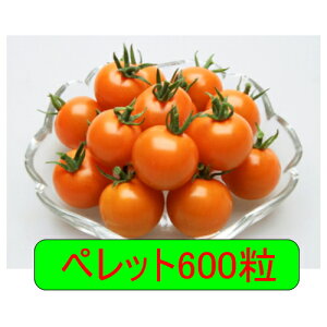 y׎oׁzJlRc@IWptF@ybg600